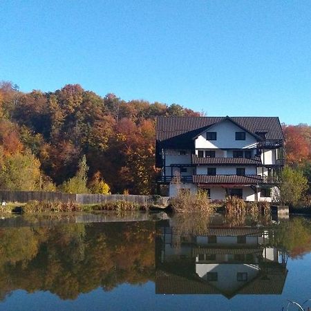 Hotel Dumbrava Soarelui Braşov Esterno foto