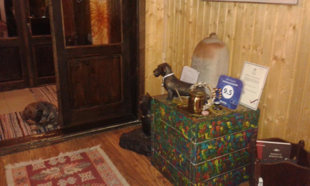 Hotel Dumbrava Soarelui Braşov Esterno foto