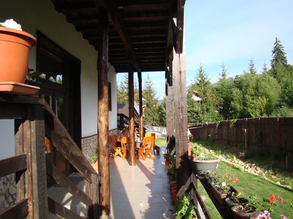 Hotel Dumbrava Soarelui Braşov Esterno foto
