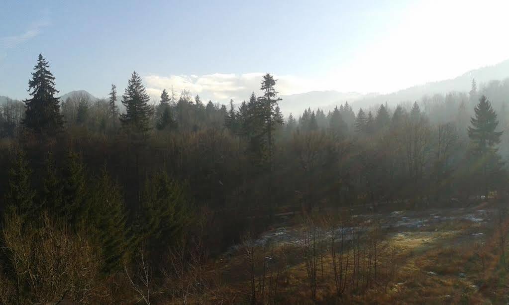 Hotel Dumbrava Soarelui Braşov Esterno foto